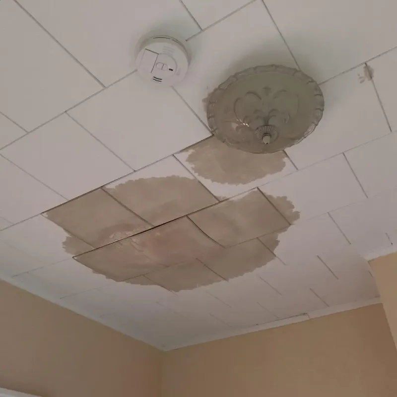 Ceiling Water Damage Repair in West Elmira, NY